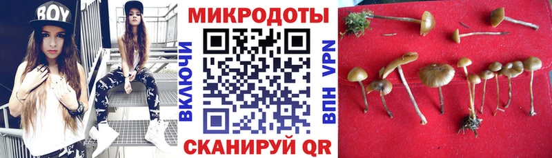 Псилоцибиновые грибы мухоморы  наркота  Усть-Джегута 